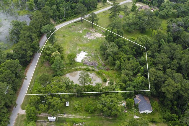 17340 Denise Rd, Conroe, TX 77306