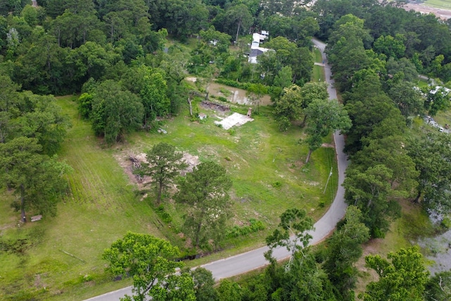 17340 Denise Rd, Conroe, TX 77306