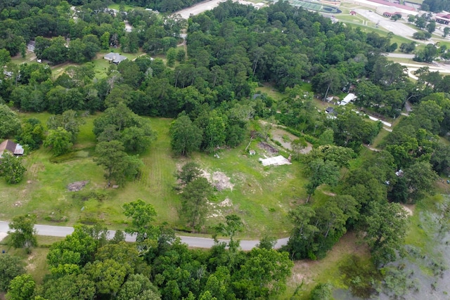 17340 Denise Rd, Conroe, TX 77306