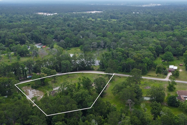 17340 Denise Rd, Conroe, TX 77306
