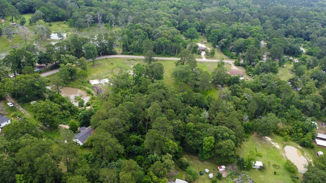 17340 Denise Rd, Conroe, TX 77306