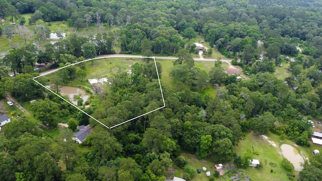 17340 Denise Rd, Conroe, TX 77306
