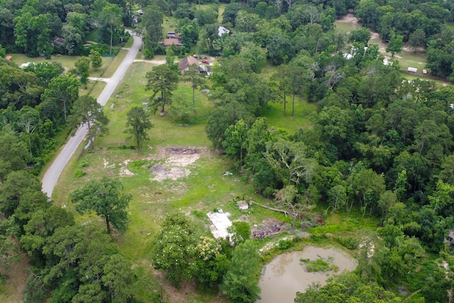 17340 Denise Rd, Conroe, TX 77306