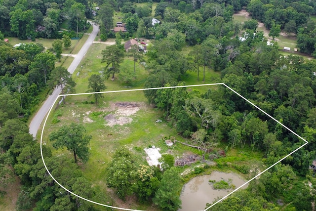 17340 Denise Rd, Conroe, TX 77306