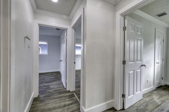 7437 Navasota St, Houston, TX 77016 - corridor with ornamental molding, dark wood finished floors, baseboards, and a textured wall