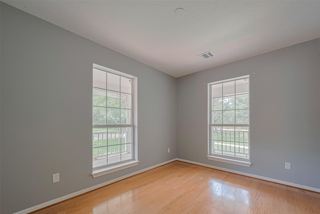 144 Pin Oak Ln, Hempstead, TX 77445 - spare room featuring plenty of natural light, light wood finished floors, baseboards, and a textured ceiling