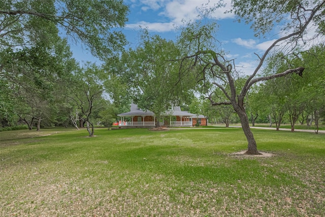 144 Pin Oak Ln, Hempstead, TX 77445 - view of grassy yard featuring a porch