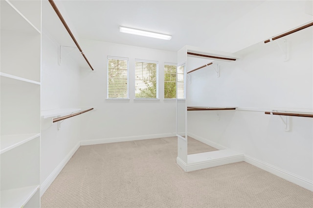 3730 Arundel Gardens Ln, Sugar Land, TX 77498 - spacious closet featuring carpet floors