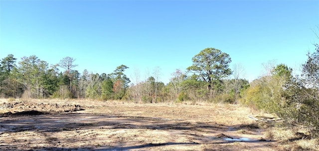 240 County Road 893, Evadale, TX 77615 - photo 4