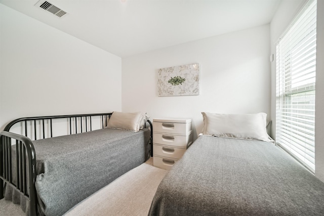 337 Riverwood Village Ln, Sealy, TX 77474 - bedroom featuring light carpet
