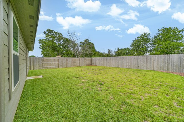 337 Riverwood Village Ln, Sealy, TX 77474 - view of yard