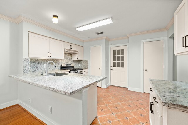 11607 Zarroll Dr, Houston, TX 77099 - photo 13