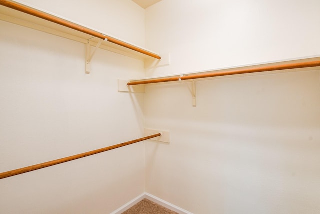 3550 Beacons Vw, Friendswood, TX 77546 - spacious closet featuring light carpet