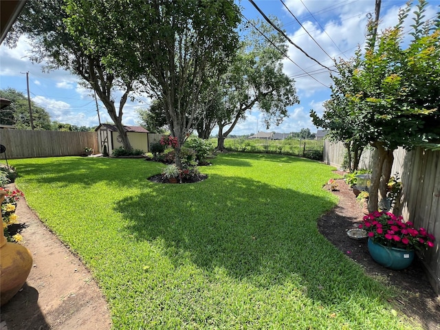 728 S Remington Dr, Angleton, TX 77515 - view of yard