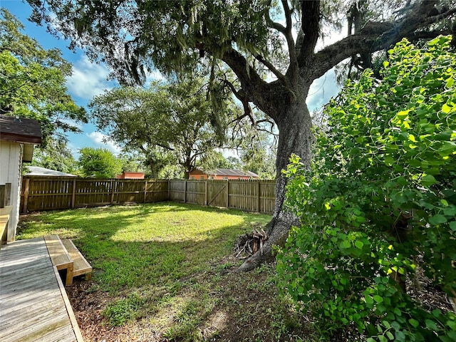827 Live Oak Dr, Jones Creek, TX 77541 - view of yard