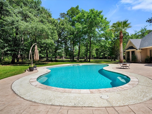 9819 Crestwater Cir, Magnolia, TX 77354 - swimming pool with a patio, a lawn, and view of wooded area