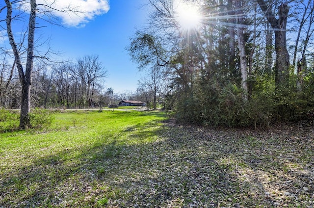 472 E Main St, Zavalla, TX 75980 - view of yard