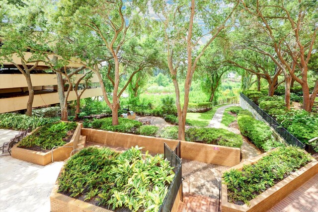 101 Westcott St Unit 305, Houston, TX 77007 - view of home's community featuring a vegetable garden