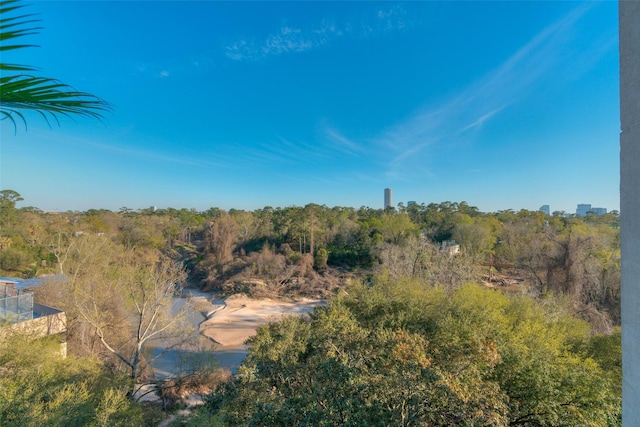 101 Westcott St Unit 305, Houston, TX 77007 - view of wooded area