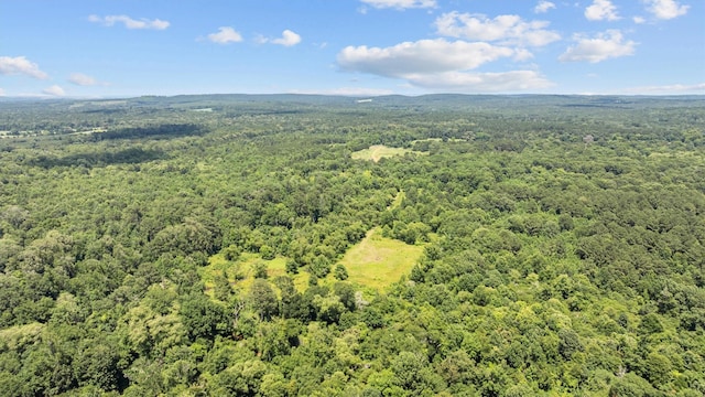 1546 County Road 2214, Rusk, TX 75785 - photo 17