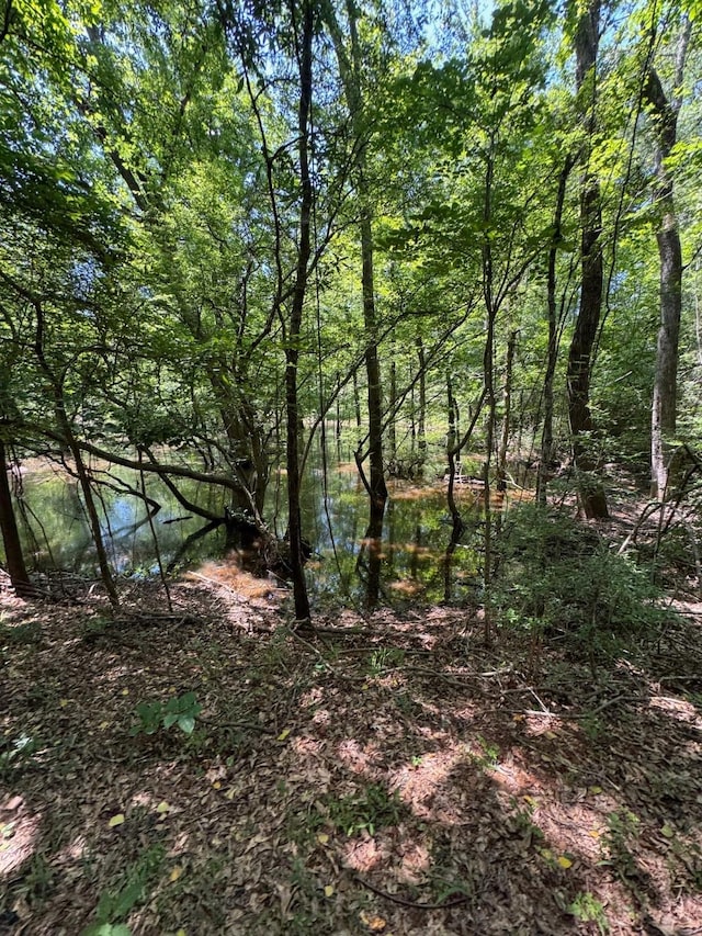 1546 County Road 2214, Rusk, TX 75785 - photo 32