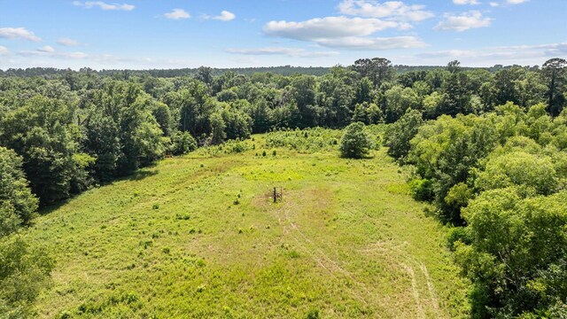 1546 County Road 2214, Rusk, TX 75785 - photo 22