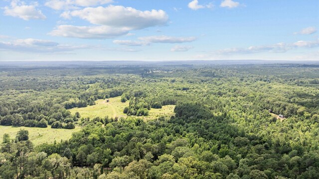 1546 County Road 2214, Rusk, TX 75785 - photo 4