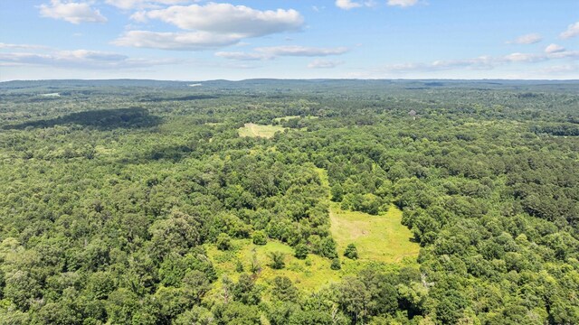 1546 County Road 2214, Rusk, TX 75785 - photo 6