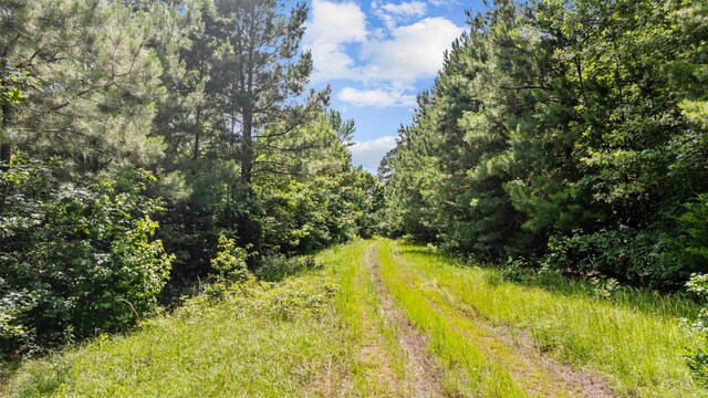 1546 County Road 2214, Rusk, TX 75785 - photo 13