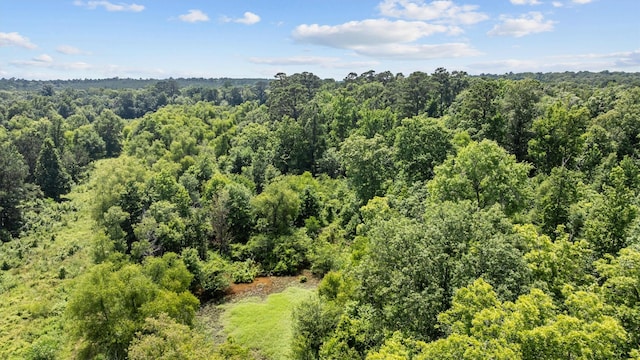 1546 County Road 2214, Rusk, TX 75785 - photo 9