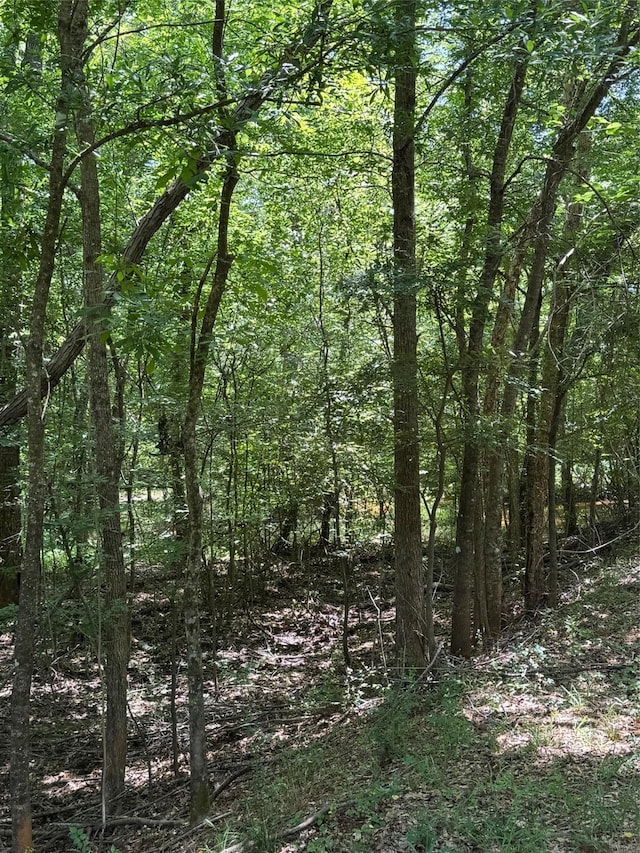 1546 County Road 2214, Rusk, TX 75785 - photo 28