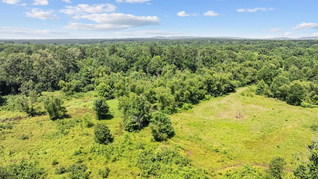 1546 County Road 2214, Rusk, TX 75785 - photo 12