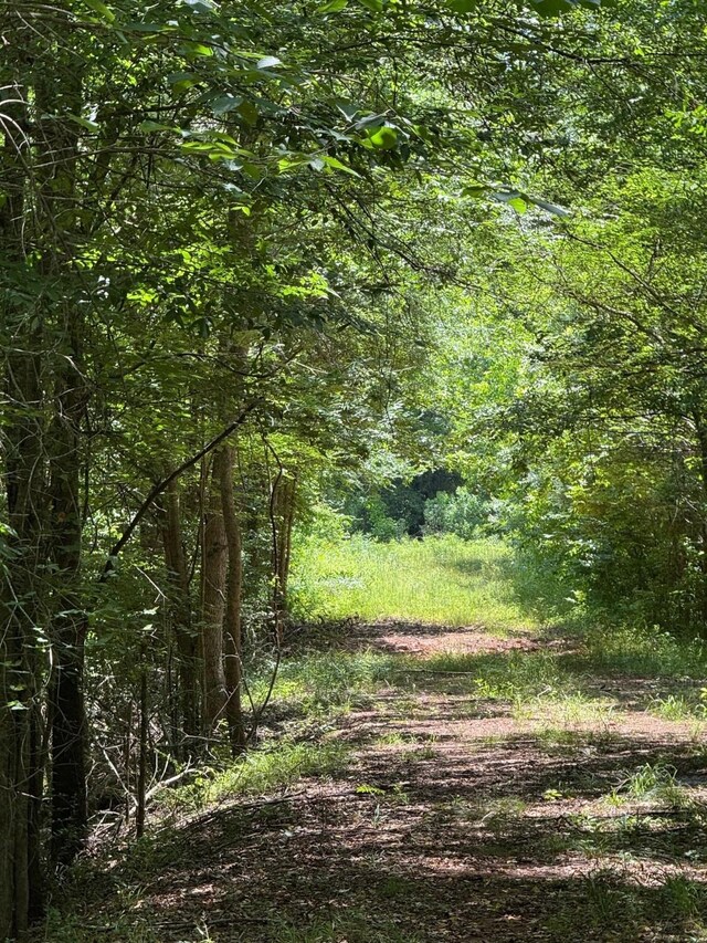 1546 County Road 2214, Rusk, TX 75785 - photo 29