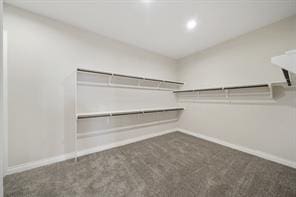 9314 Brunel Ln, Houston, TX 77044 - spacious closet featuring carpet flooring