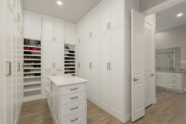9314 Brunel Ln, Houston, TX 77044 - walk in closet with light wood-style floors