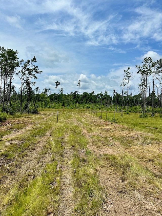 5909 Texas Pines Ln, Kountze, TX 77625