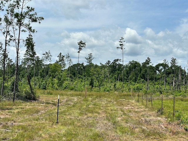 5909 Texas Pines Ln, Kountze, TX 77625