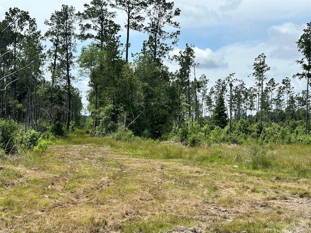 5909 Texas Pines Ln, Kountze, TX 77625