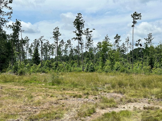5909 Texas Pines Ln, Kountze, TX 77625