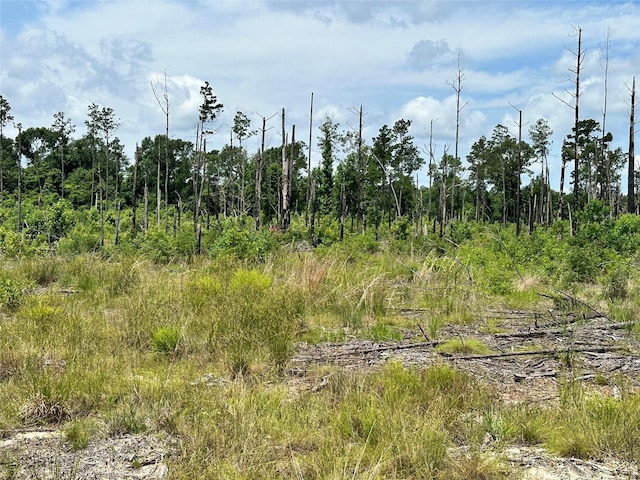 5909 Texas Pines Ln, Kountze, TX 77625