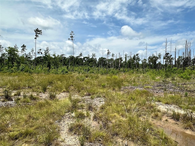 5909 Texas Pines Ln, Kountze, TX 77625