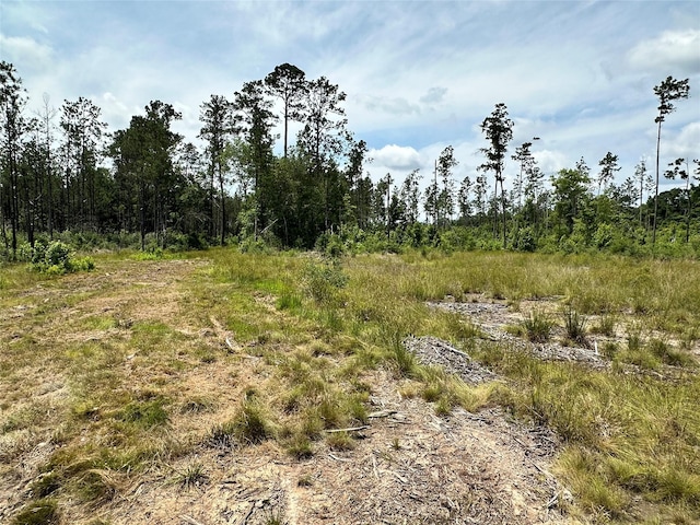 5909 Texas Pines Ln, Kountze, TX 77625