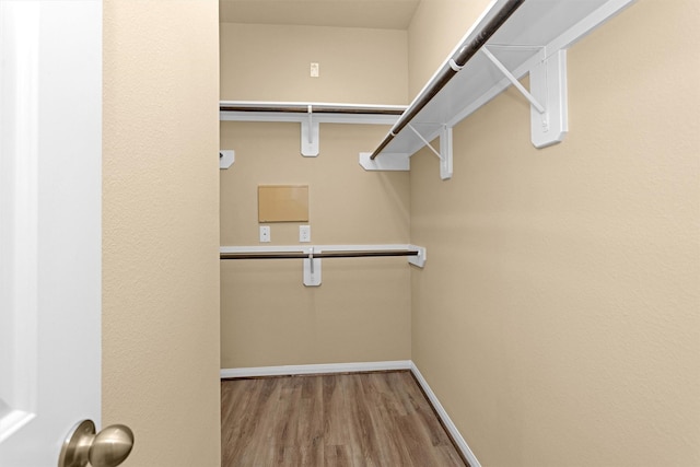 24734 Colonial Maple Dr, Katy, TX 77493 - walk in closet featuring wood finished floors