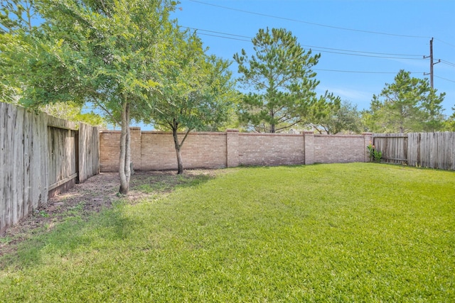 24734 Colonial Maple Dr, Katy, TX 77493 - view of yard