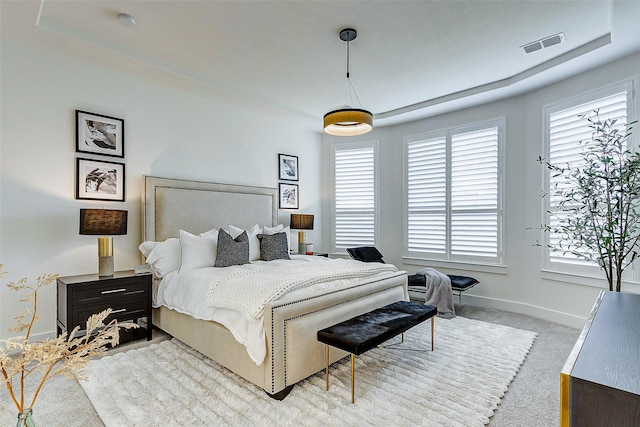 705 Serenity View Ln, Katy, TX 77493 - bedroom with light colored carpet and a raised ceiling
