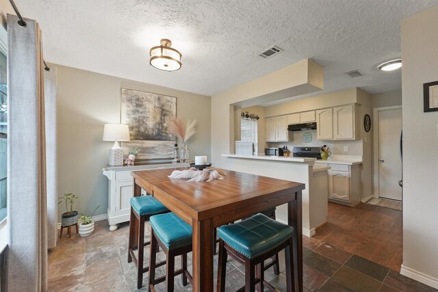 22410 Millgate Dr, Spring, TX 77373 - dining room with dark stone finish flooring, baseboards, and a textured ceiling