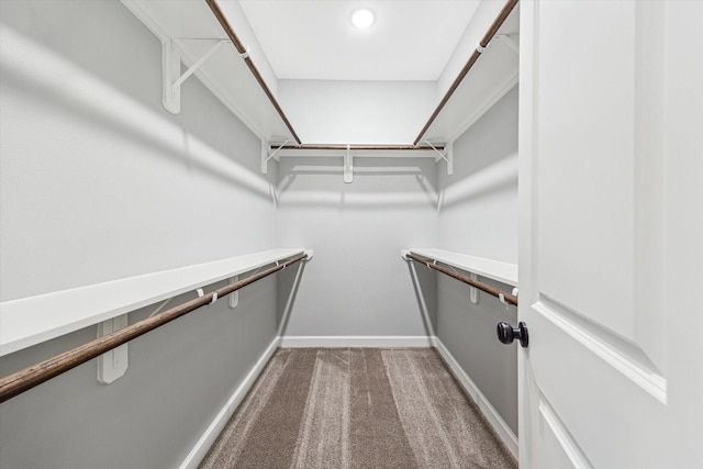 4211 Faulkner St, Houston, TX 77021 - walk in closet featuring carpet