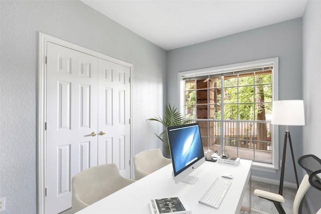 2803 Kings Crossing Dr Unit 205, Houston, TX 77345 - office featuring carpet and baseboards