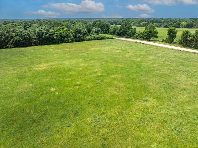 0 Skalak Rd, New Ulm, TX 78950 - photo 7