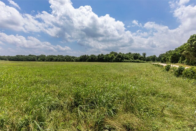 0 Skalak Rd, New Ulm, TX 78950 - photo 6